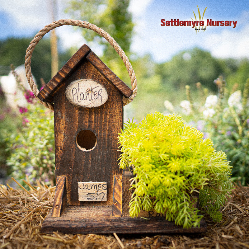 Birdhouse Planter