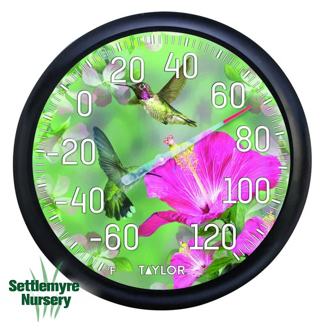Taylor Thermometer Hummingbird 13"