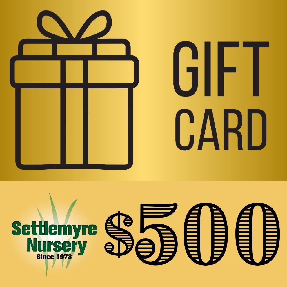 Gift Card $500
