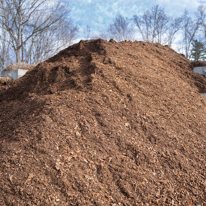 Bulk soil available by the scoop at Settlemyre Nursery