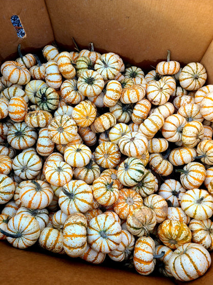 Pumpkins