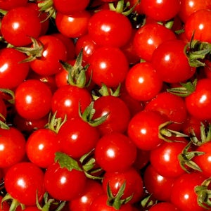 Seed Tomato Tiny Tim Cherry Organic