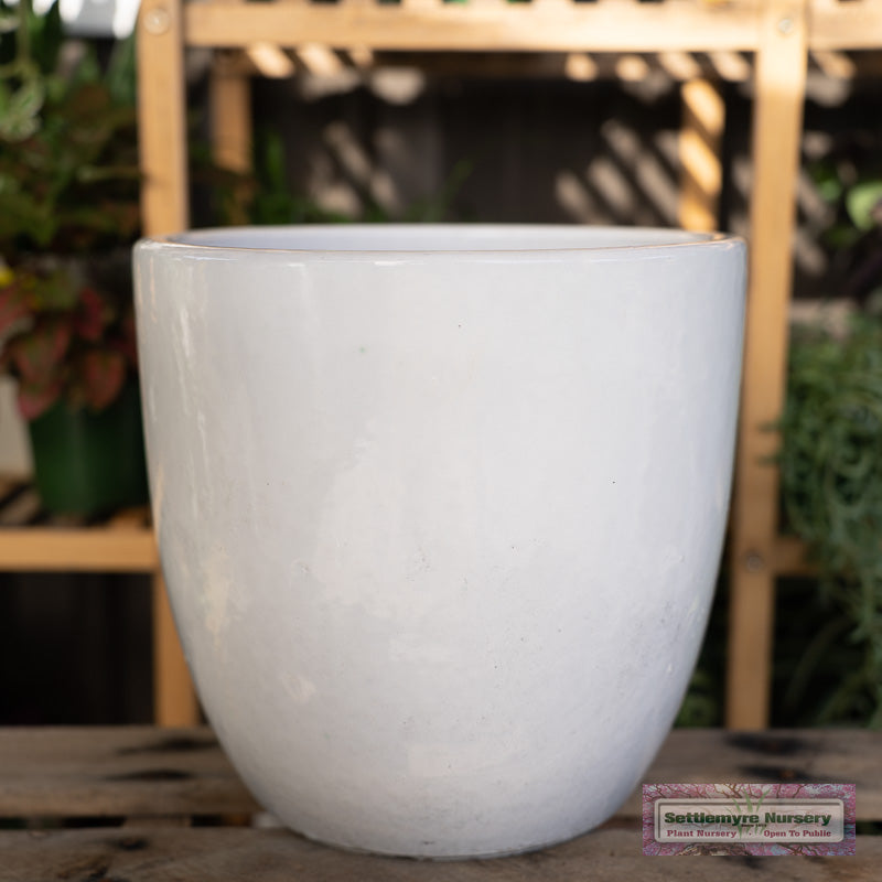 Short Egg Medium White Garden Pot