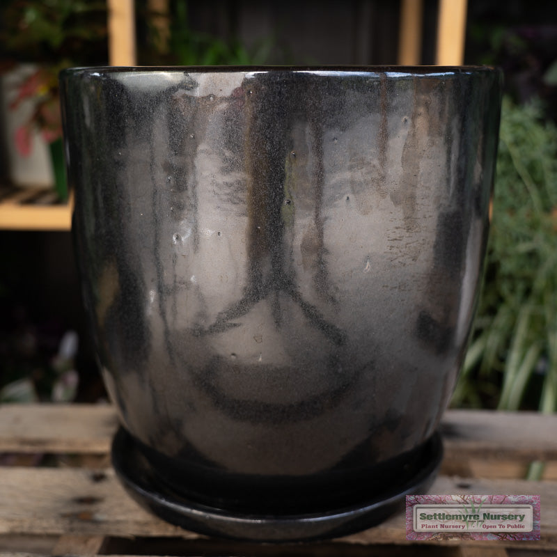 Short Egg' Garden Pots - Mirror