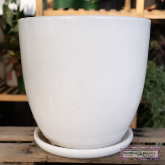 Short Egg Large White Garden Pot