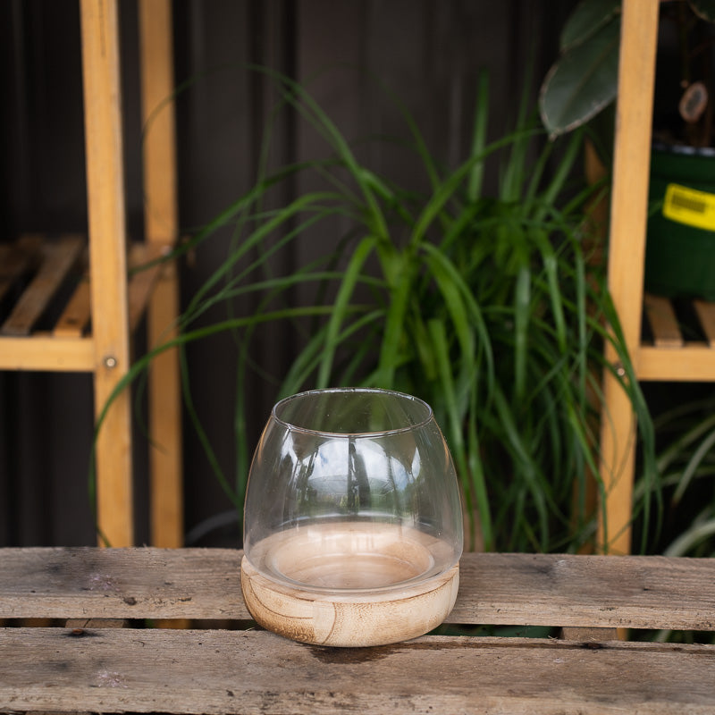 Glass Vase with Wooden Base