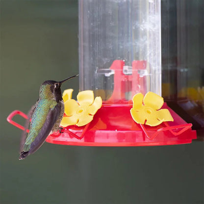 Hummingbird Feeder Window