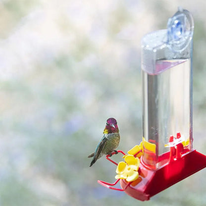 Hummingbird Feeder Window