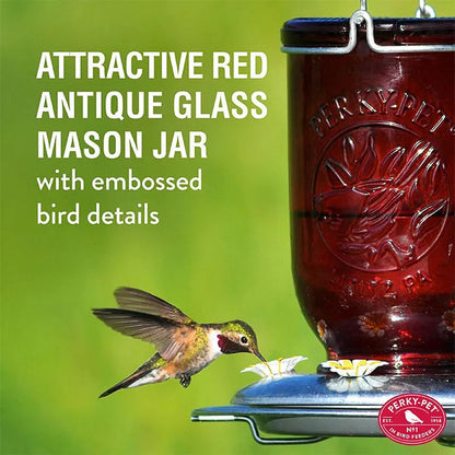 Hummingbird Feeder Mason Jar Red