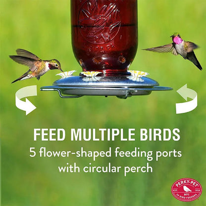 Hummingbird Feeder Mason Jar Red