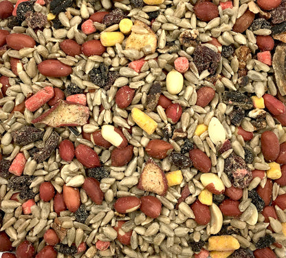 Bird Seed Nutberry Suet Blend 5LB