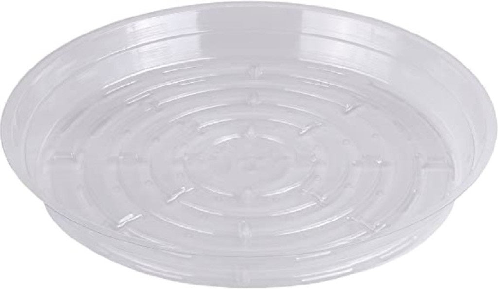 Clear Vinyl Saucer