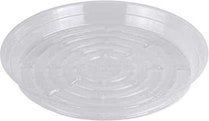 Clear Vinyl Saucer