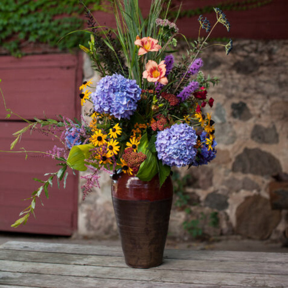 Bloomstruck Bigleaf Hydrangea by Endless Summer Hydranegas