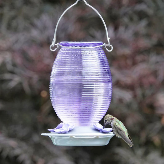 Hummingbird Feeder Lilac Dreams 29oz