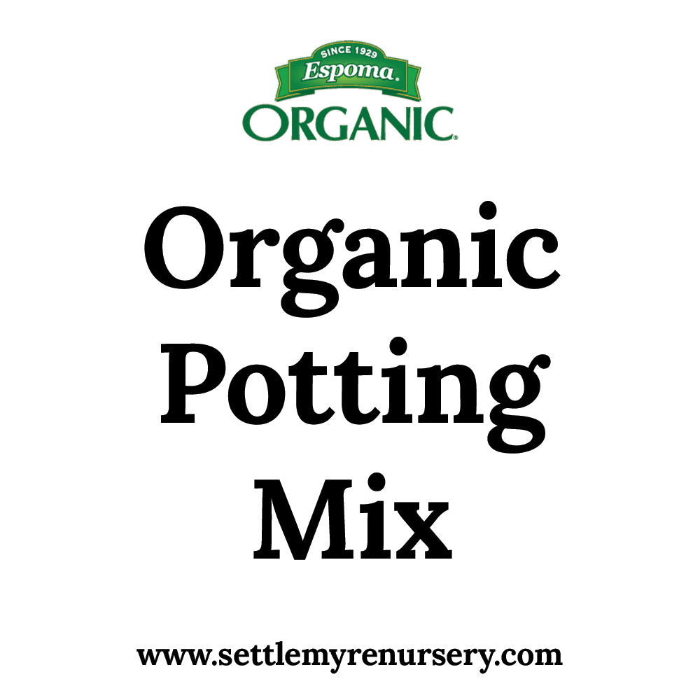 Organic Potting Mix