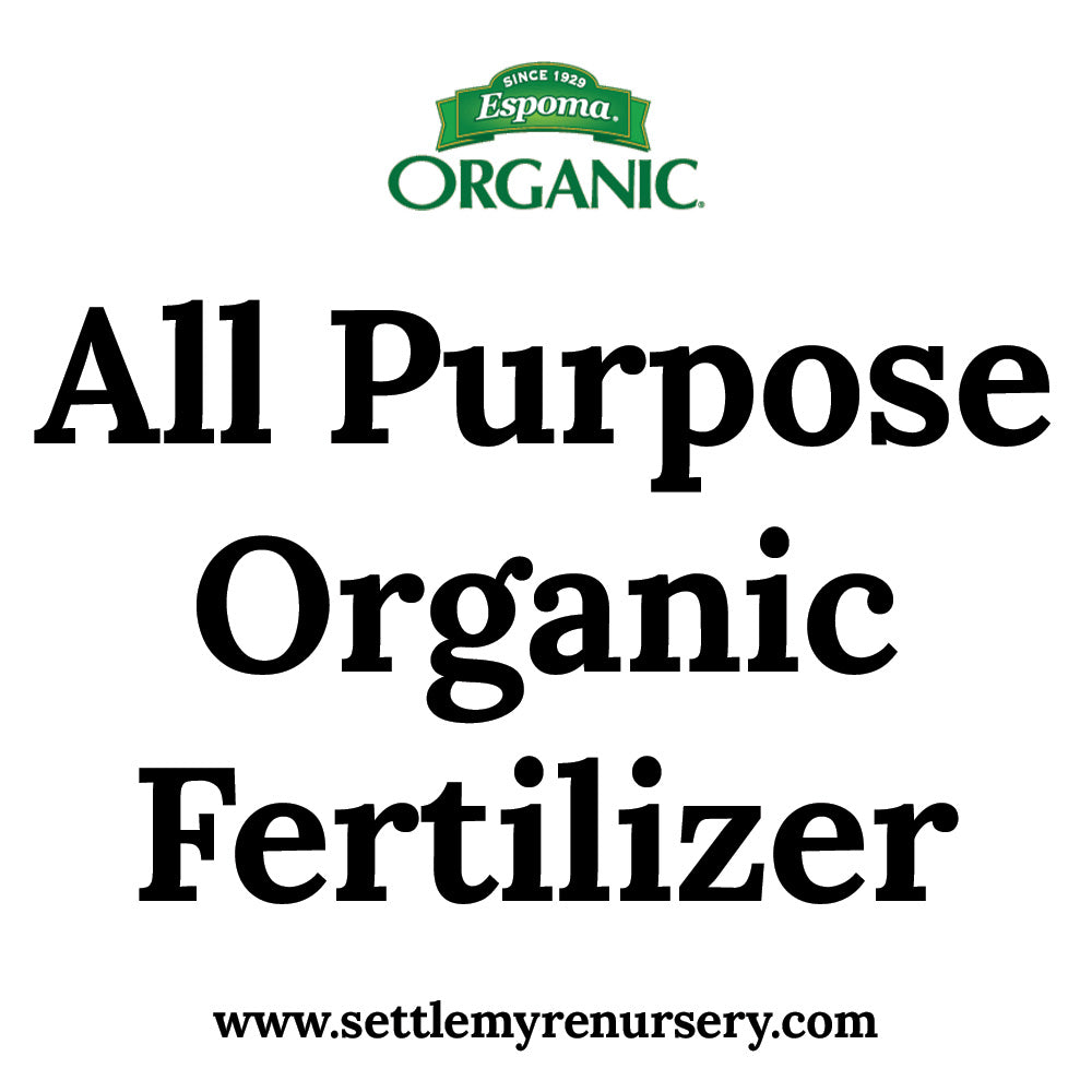 Plant-Tone Organic Fertilizer