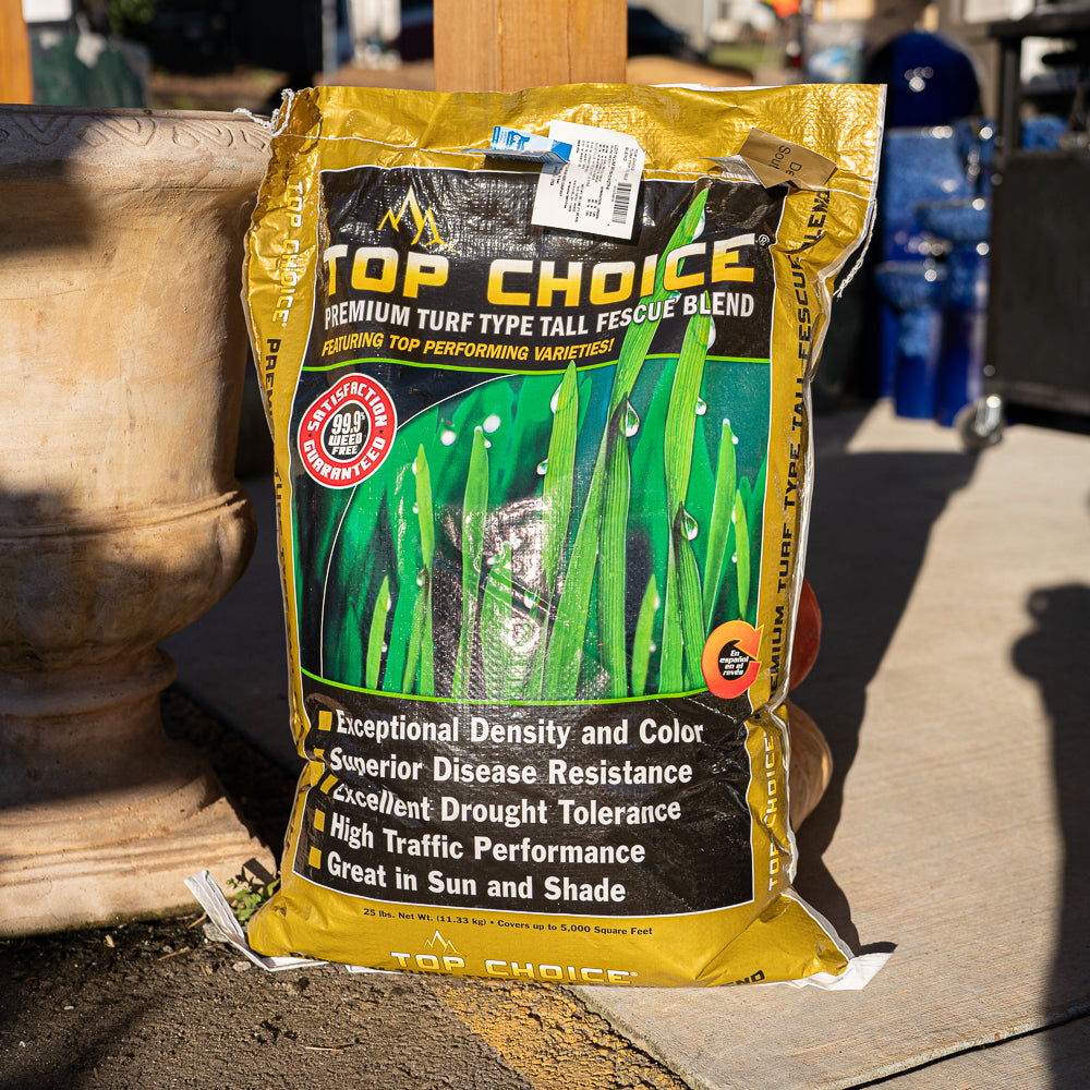 Top Choice Tall Fescue Grass Seed