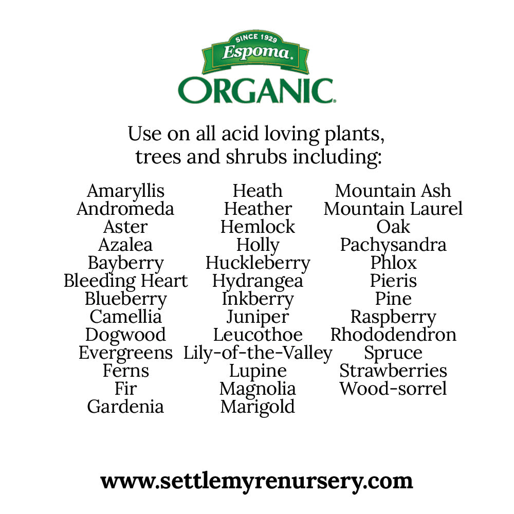 Holly Tone Organic Fertilizer