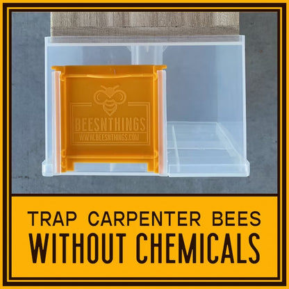 Carpenter Bee Trap