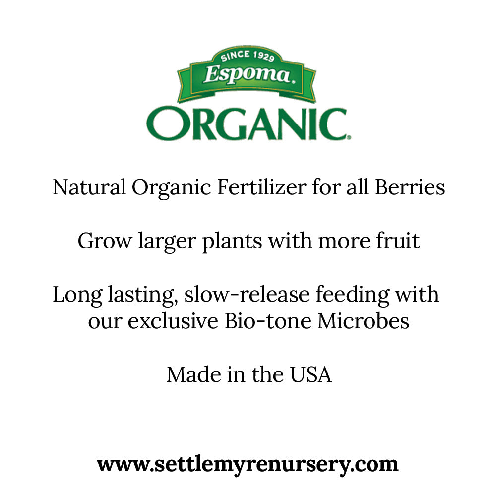 Benefits of berry-tone fertilizer