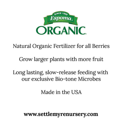 Benefits of berry-tone fertilizer