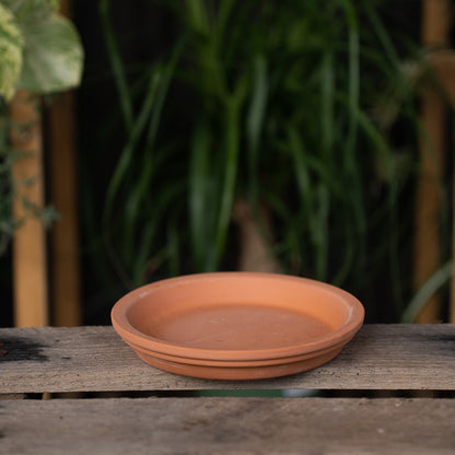 Terra Cotta Saucer