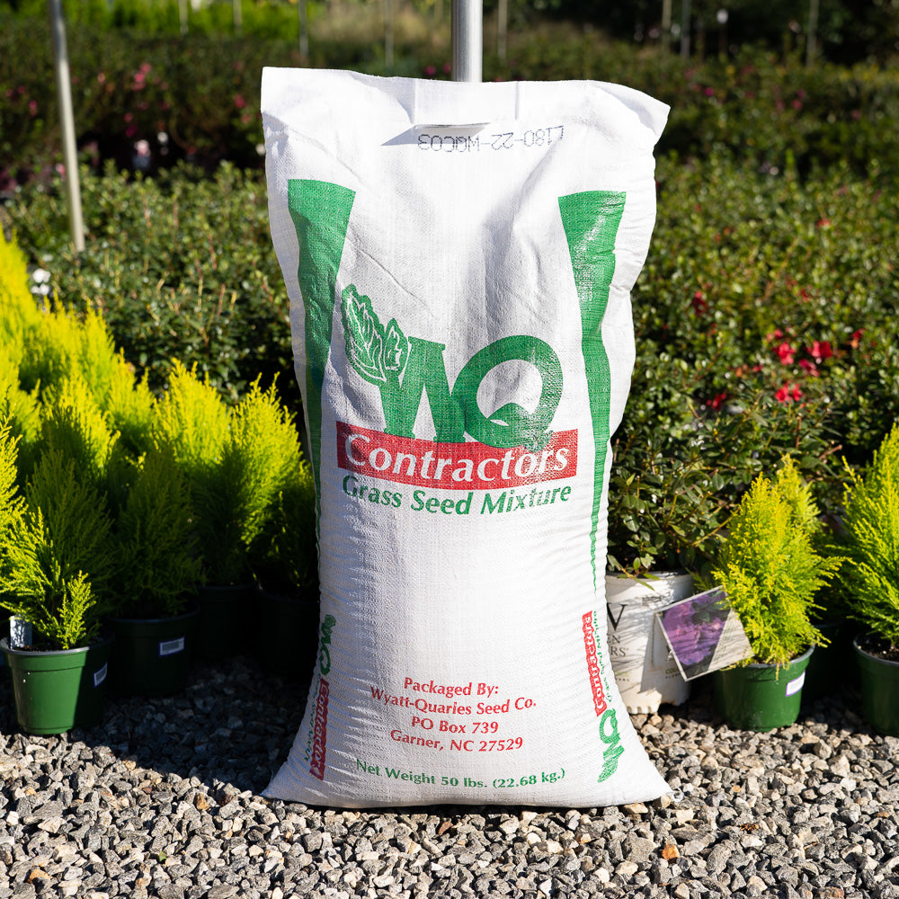 Contractor's Blend Grass Seed in 50 pound bag