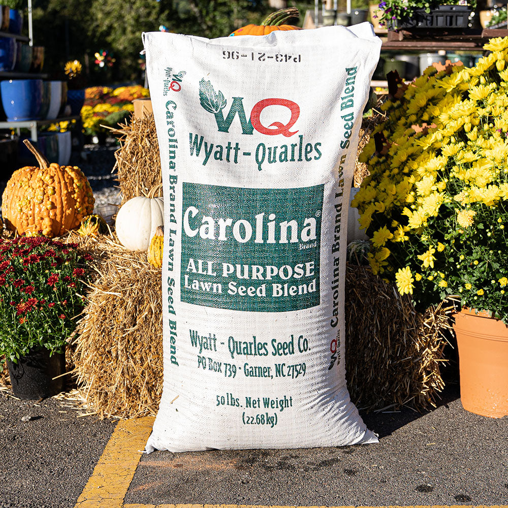 50 Pound Bag of Carolina blend grass seed at Settlemyre Nursery