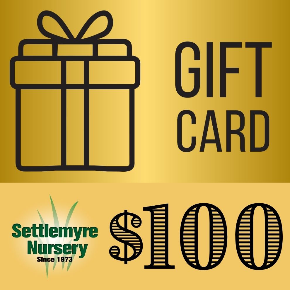Gift Card $100