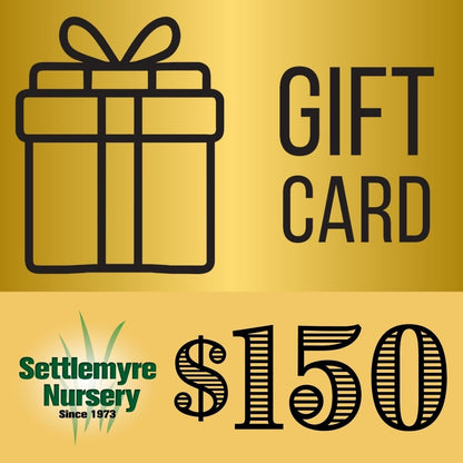 Gift Card $150