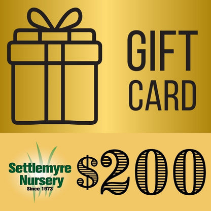 Gift Card $200
