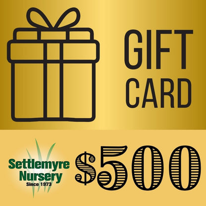 Gift Card $500