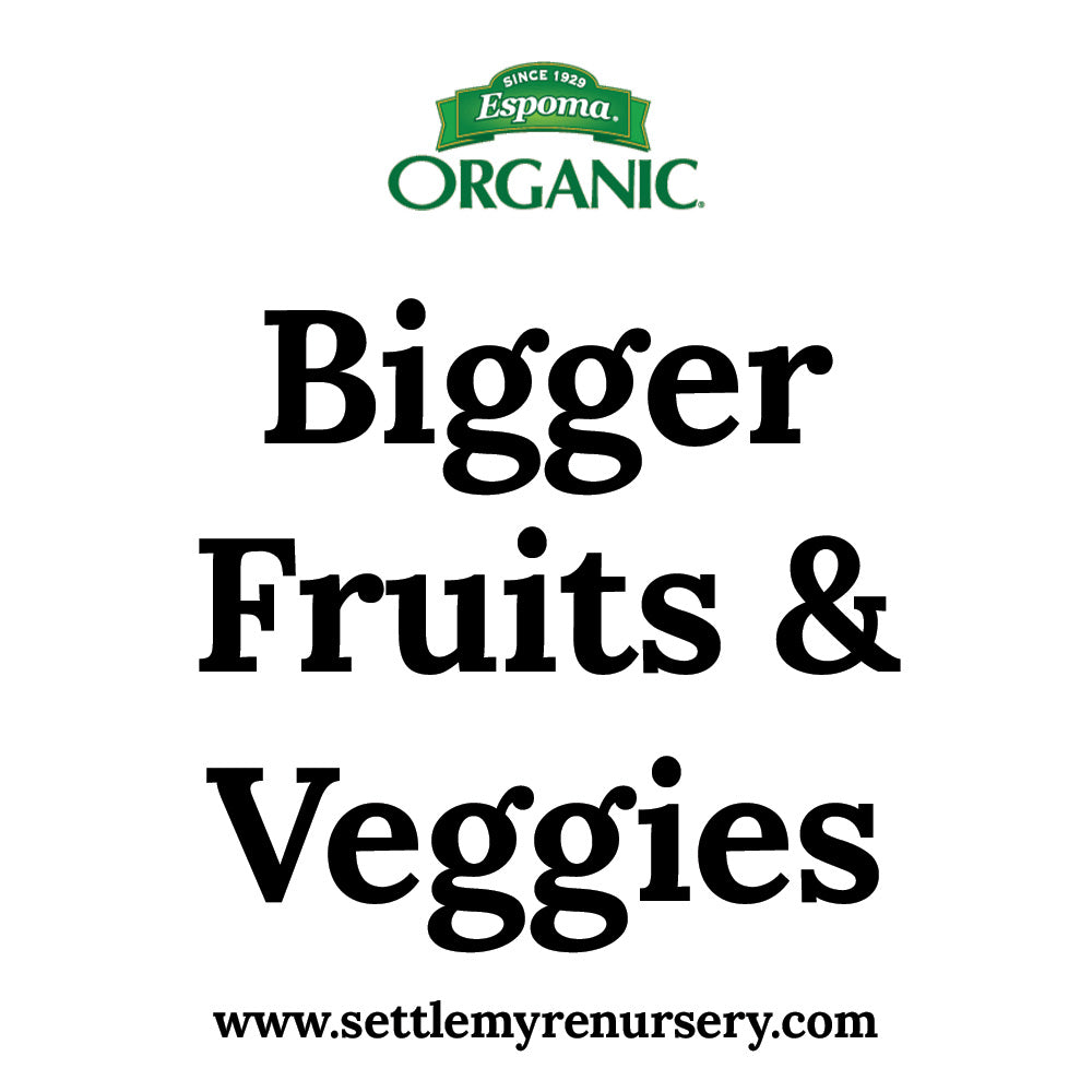 Bigger Fruits and Veggies with Espoma Organic Garden-tone fertilizer