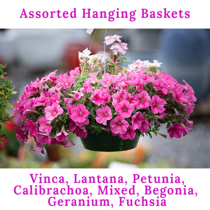 Hanging Basket Assortments