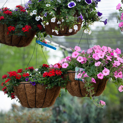 Annual Hanging Basket Coco Liner 14 Inch