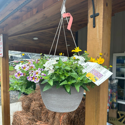 Annual Hanging Basket Premium 12.5