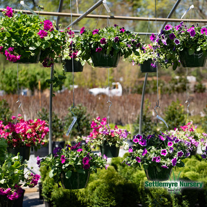 Hanging Basket Assortments