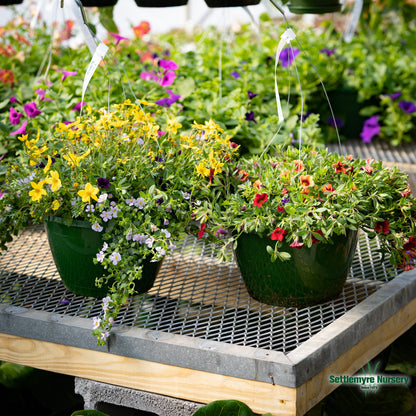 Hanging Basket Assortments