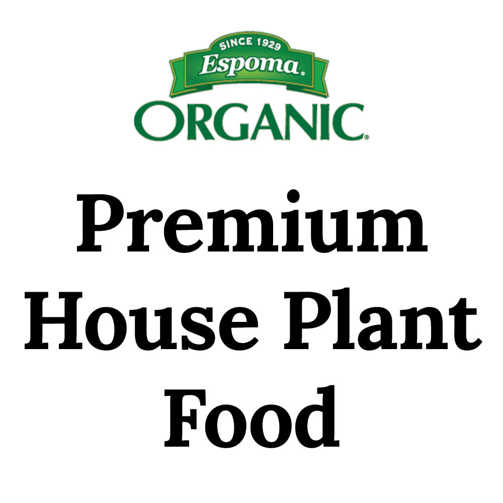 Premium House Plant Food