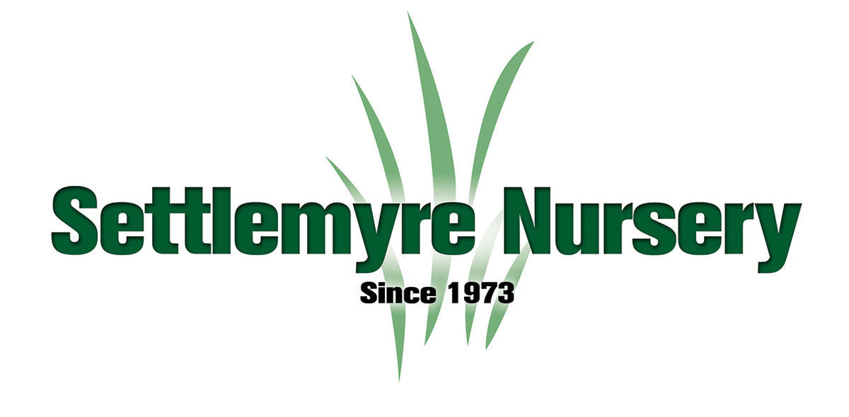 Settlemyre Nursery