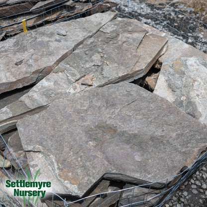 Laurel Cabin Flagstone