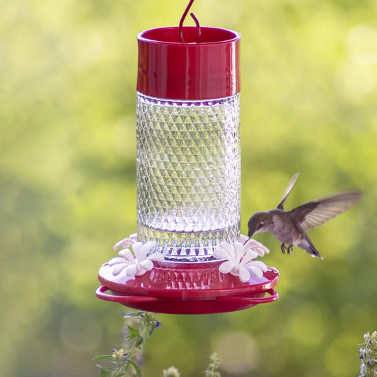 Hummingbird Feeder Charming Cherry 13oz