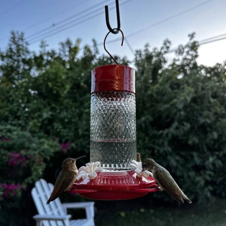 Hummingbird Feeder Charming Cherry 13oz