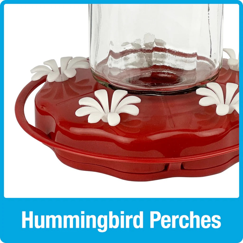 Hummingbird Feeder Scarlet Swirl 20oz