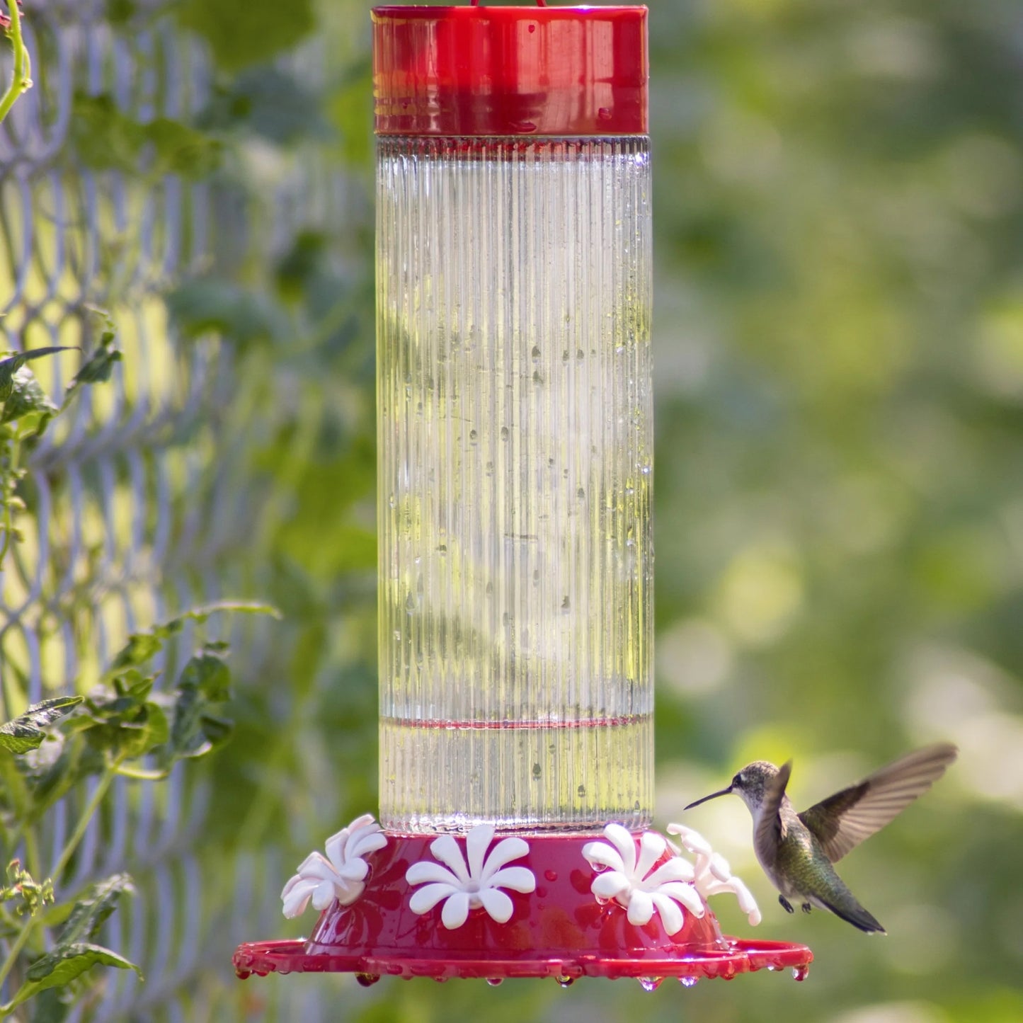 Hummingbird Feeder Ribbed Rose 28oz