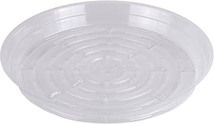 Clear Vinyl Saucer