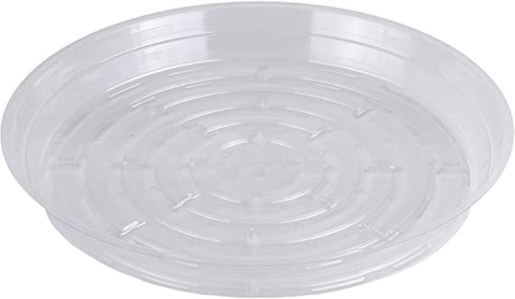 Clear Vinyl Saucer