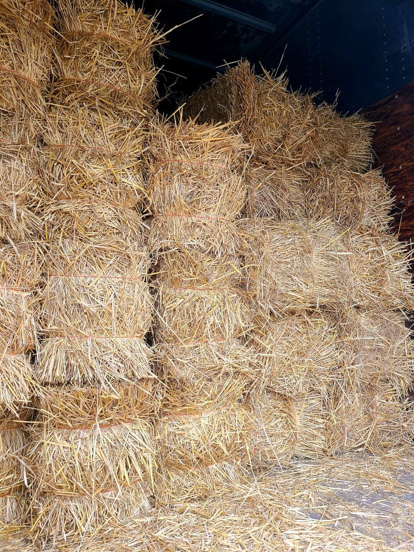 Stacks of wheat straw bales at Settlemyre Nursery in Valdese, NC