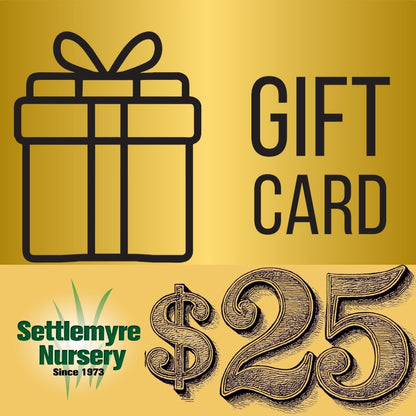 Gift Card $25